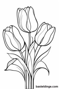 Tulpen Ausmalbilder